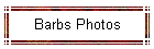 Barbs Photos