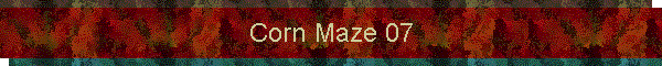 Corn Maze 07