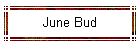 June Bud