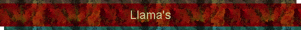 Llama's
